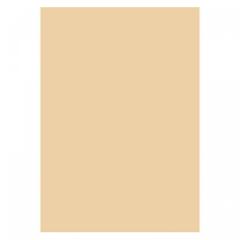  Färgat papper A4 beige 80g OH