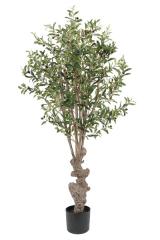  Konstväxt Olivträd 160cm