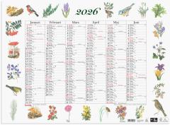  Väggkalender 2026 Stora Naturalmanackan