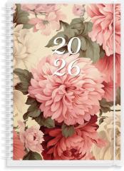  Kalender 2026 Senator A5 4i1