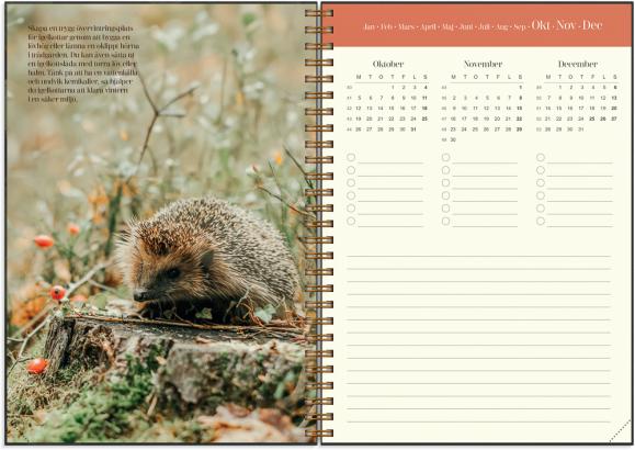  Kalender 2026 Lantdrömmar