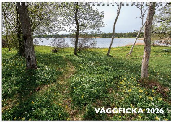  Väggkalender 2026 Väggficka