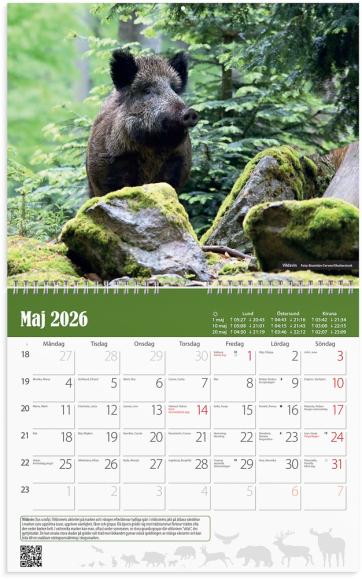  Väggkalender 2026 Jaktkalender
