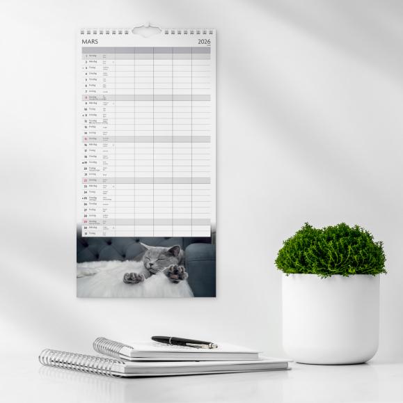  Familjekalender 2026 Katter