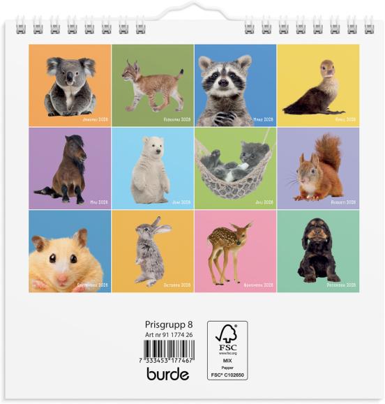  Väggkalender 2026 Sötnosar