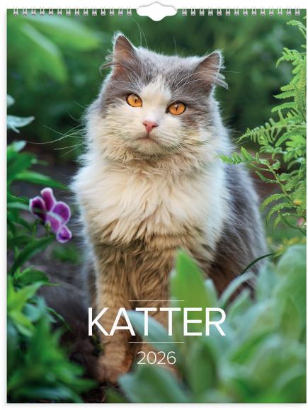  Väggkalender 2026 Stora Kattkalendern
