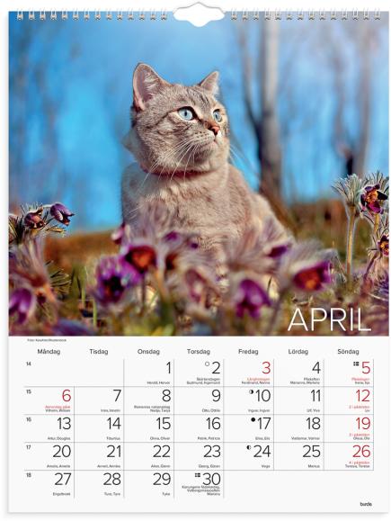  Väggkalender 2026 Stora Kattkalendern