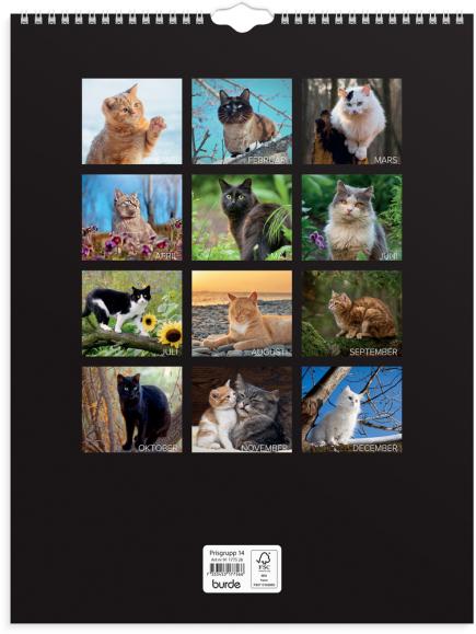  Väggkalender 2026 Stora Kattkalendern
