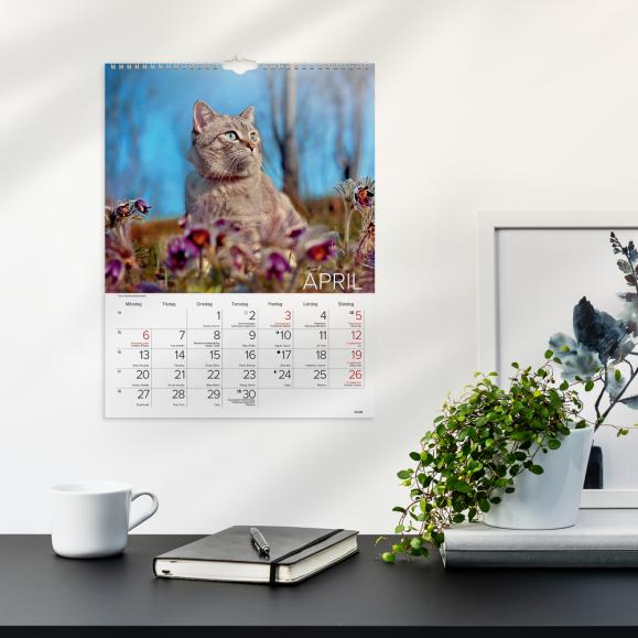  Väggkalender 2026 Stora Kattkalendern