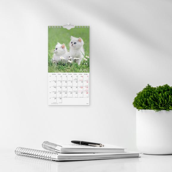  Väggkalender 2026 Liten Kattkalender