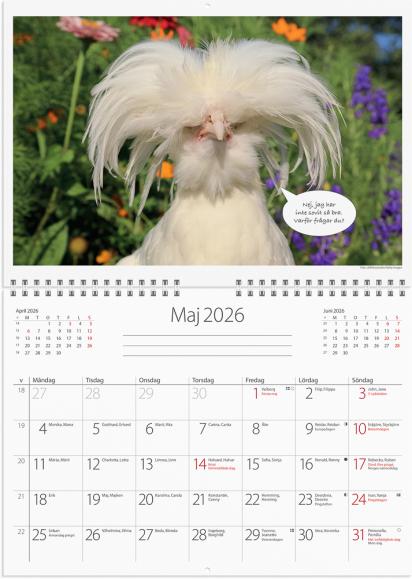  Väggkalender 2026 Djurkul