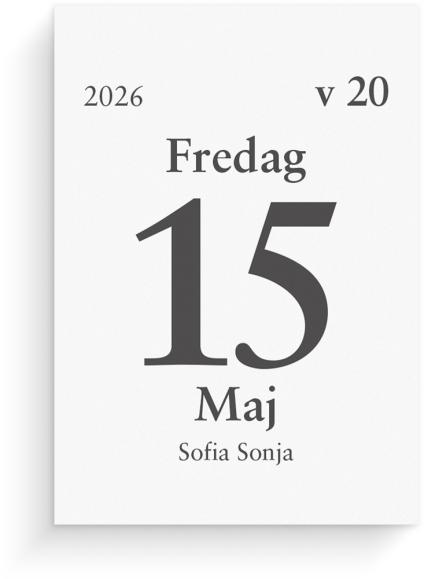 Kalender 2026 Dagblock 75x107 mm