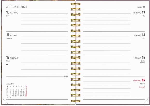  Kalender 2026 Senator A6 Story pensé