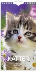  Väggkalender 2026 Liten Kattkalender