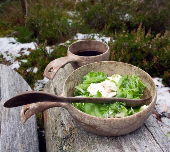  Kåsa Kupilka 55 grön