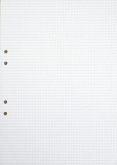  Arbetsblad A4 rutad 5x5mm