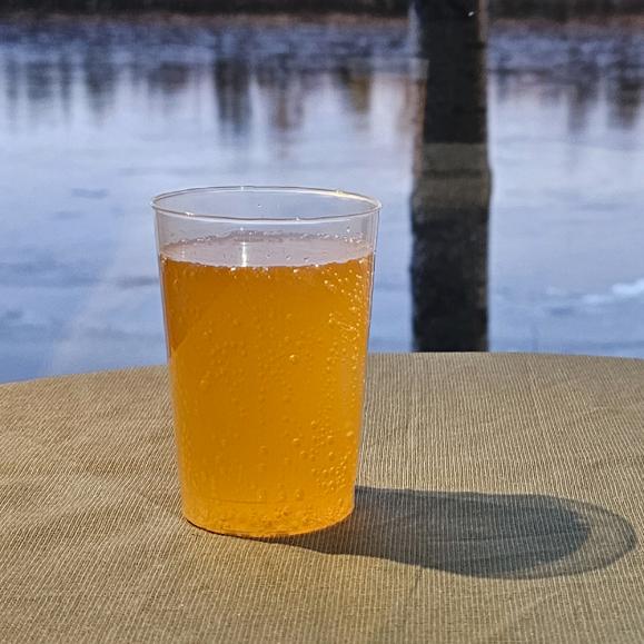  Plastglas flergångs 20cl