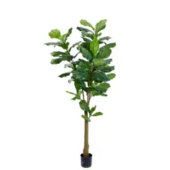  Konstväxt Fiolfikus 150cm