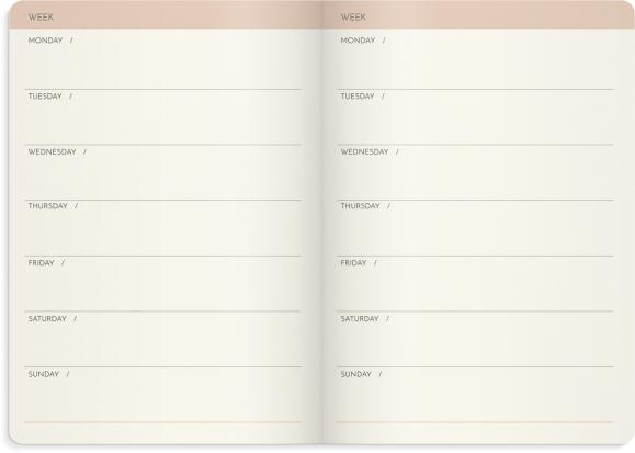  Week Planner Deluxe