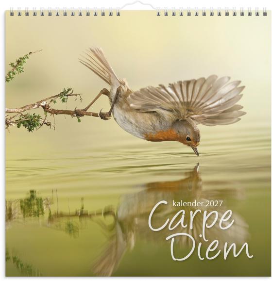  Väggkalender 2027 Carpe Diem