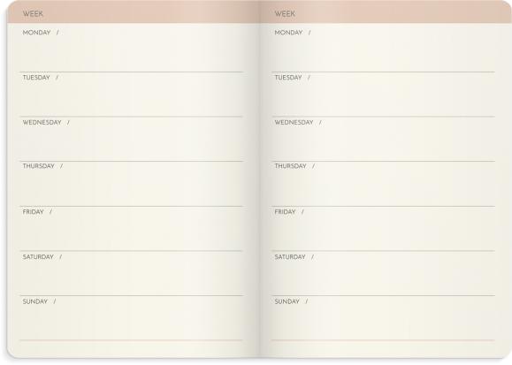  Week Planner Deluxe