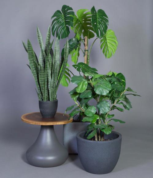  Konstväxt Fiolfikus 90cm