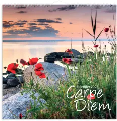  Väggkalender 2026 Carpe Diem