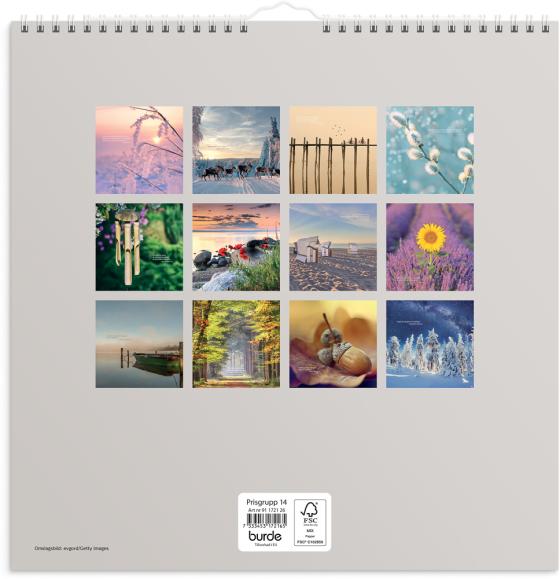  Väggkalender 2026 Carpe Diem