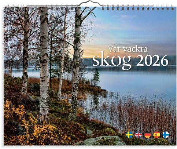  Väggkalender 2026 Vår vackra skog