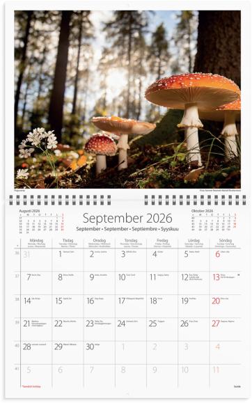  Väggkalender 2026 Vår vackra skog