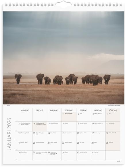  Väggkalender 2026 Savannen