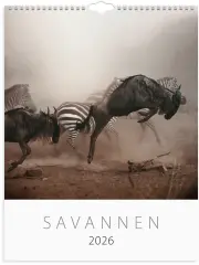  Väggkalender 2026 Savannen