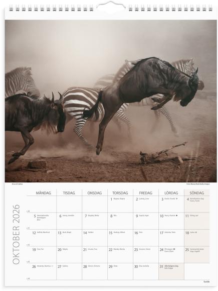  Väggkalender 2026 Savannen