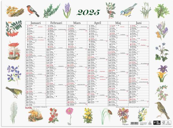  Väggkalender 2025 Stora Naturalmanackan
