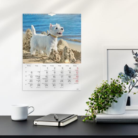  Väggkalender 2027 Stora Hundkalendern