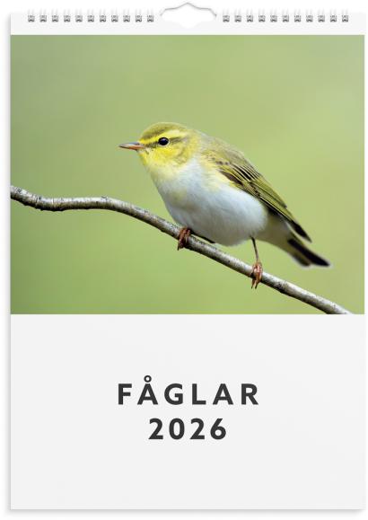  Väggkalender 2026 Fåglar