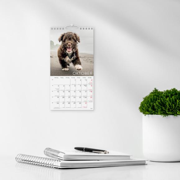  Väggkalender 2027 Liten Hundkalender