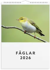  Väggkalender 2026 Fåglar