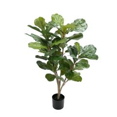 Konstv&auml;xt Fiolfikus 90cm
