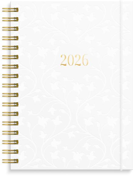  Kalender 2026 Senator A6 Star
