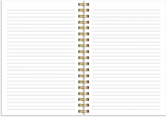  Kalender 2026 Senator A6 Star