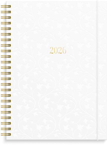  Kalender 2026 Senator A5 Star