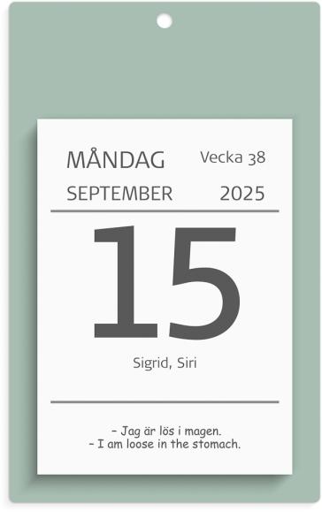  Kalender 2025 Väggplån med dagblock Humor