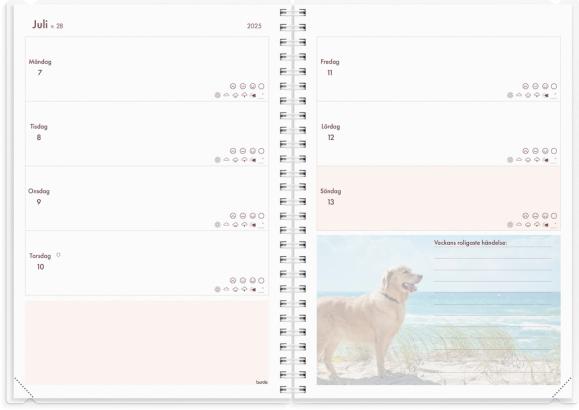  Kalender 2025 Hundkalendern