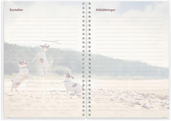  Kalender 2025 Hundkalendern
