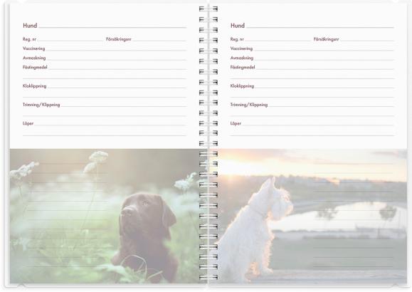  Kalender 2025 Hundkalendern