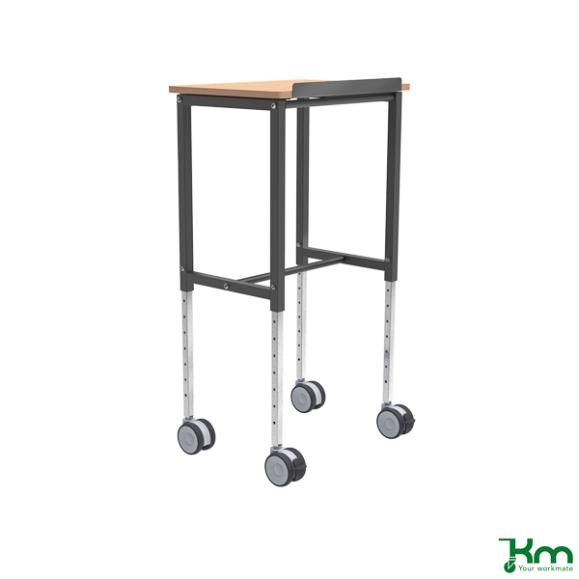  Rullbord med vinklingsbar skiva 600x400mm