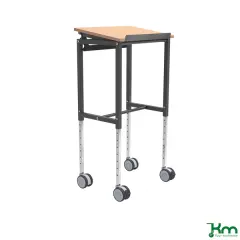 Rullbord med vinklingsbar skiva 600x400mm