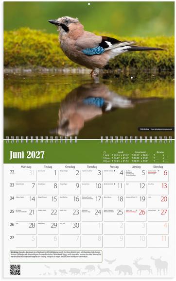  Väggkalender 2027 Jaktkalender