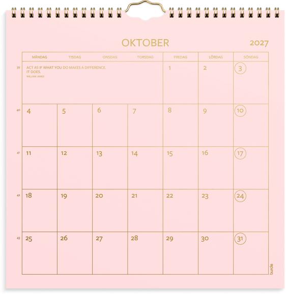  Väggkalender 2027 Color
